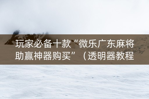 玩家必备十款“微乐广东麻将助赢神器购买”（透明器教程)