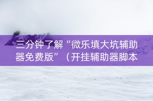 三分钟了解“微乐填大坑辅助器免费版”（开挂辅助器脚本)