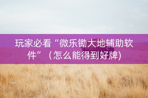 玩家必看“微乐锄大地辅助软件”（怎么能得到好牌)
