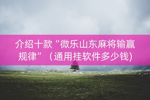 介绍十款“微乐山东麻将输赢规律”（通用挂软件多少钱)